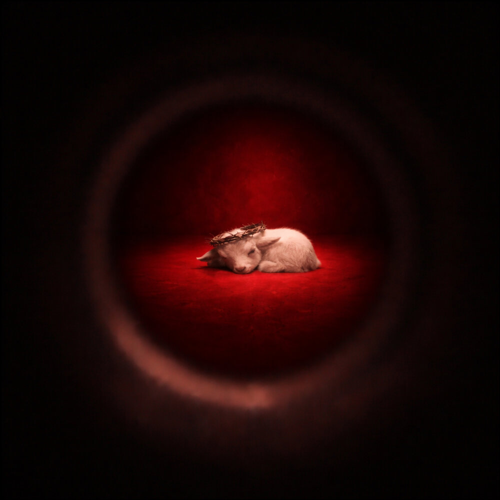YandexMusic profile picture