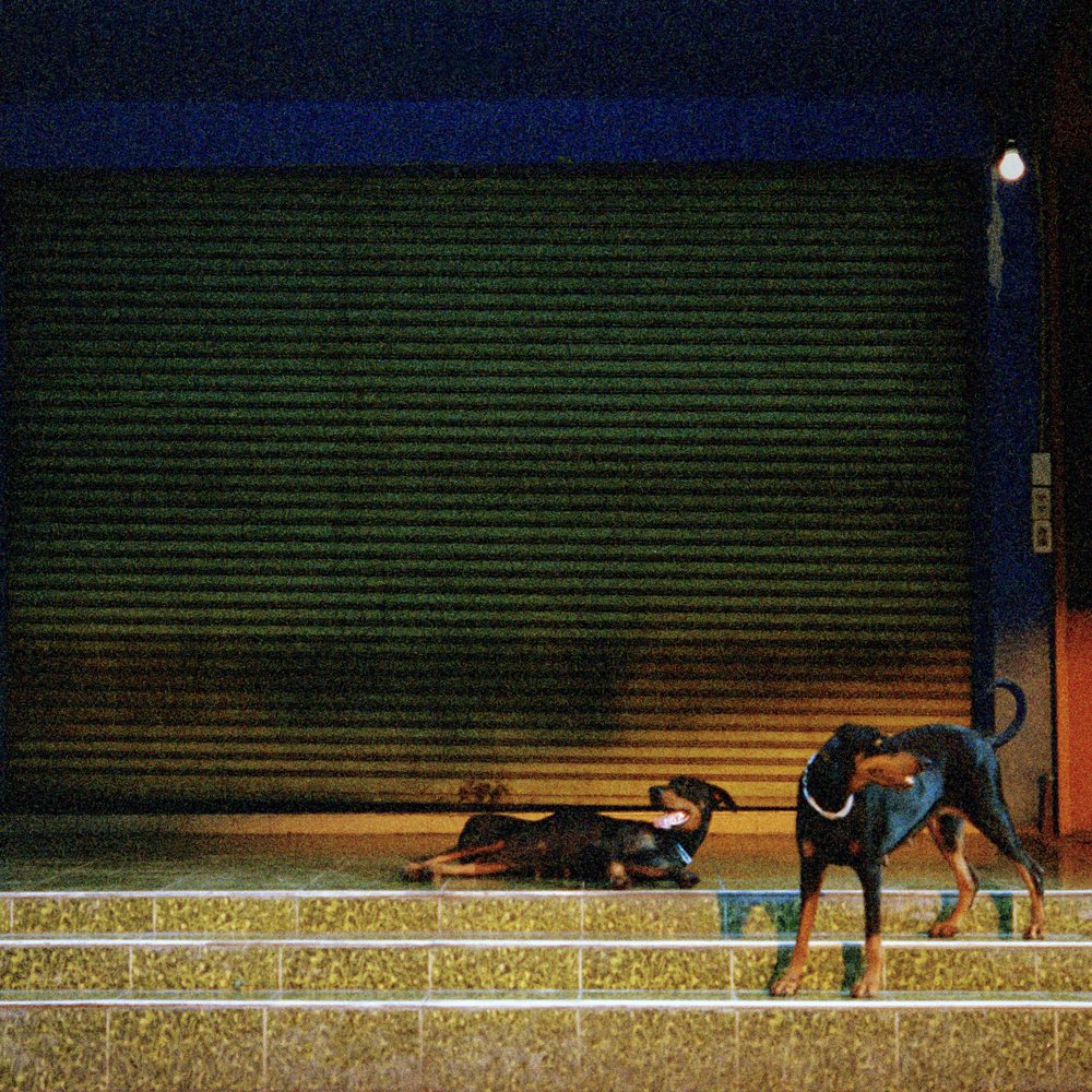 track-cover