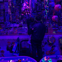 artist-cover