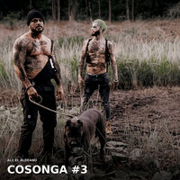 artist-cover