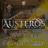 artist-cover