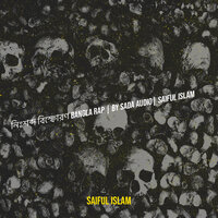 Saiful Islam