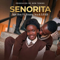 artist-cover