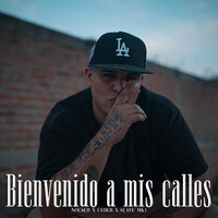 artist-cover