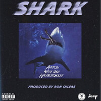 Aaron4rmthenayborhood