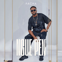 Pacha