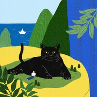 artist-cover