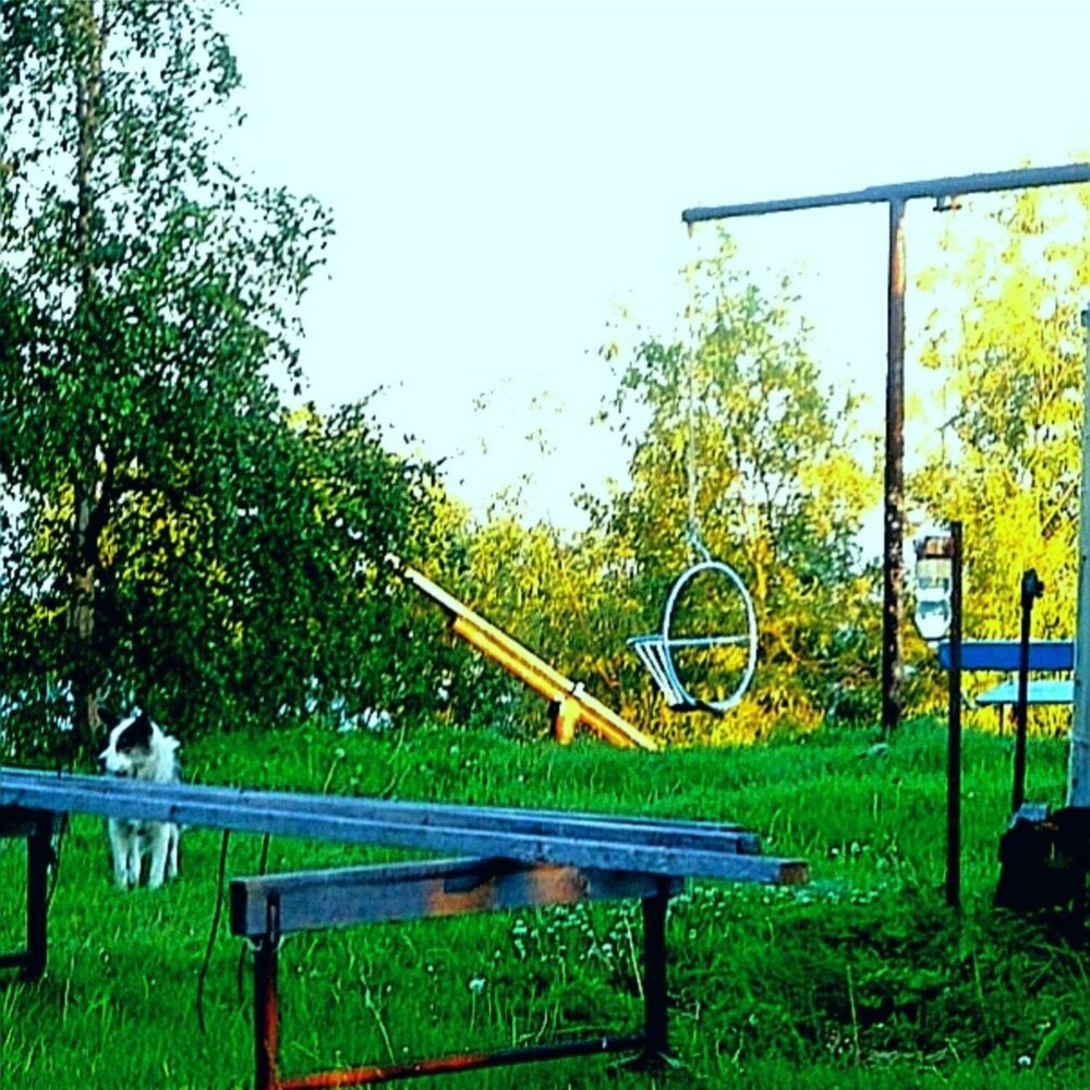 track-cover