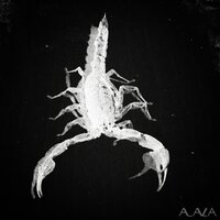 artist-cover