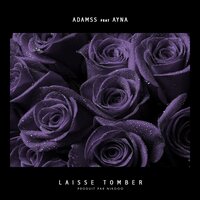 artist-cover