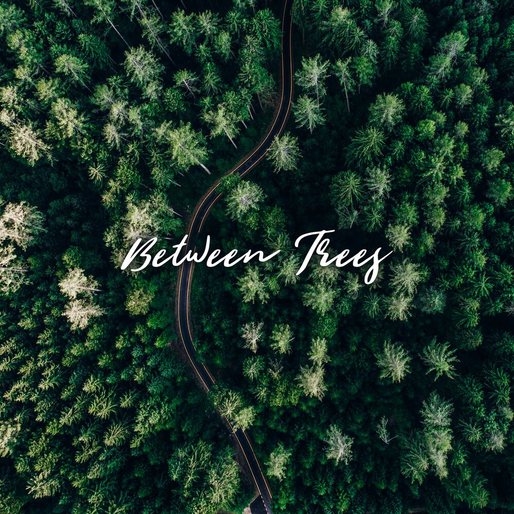 Between trees