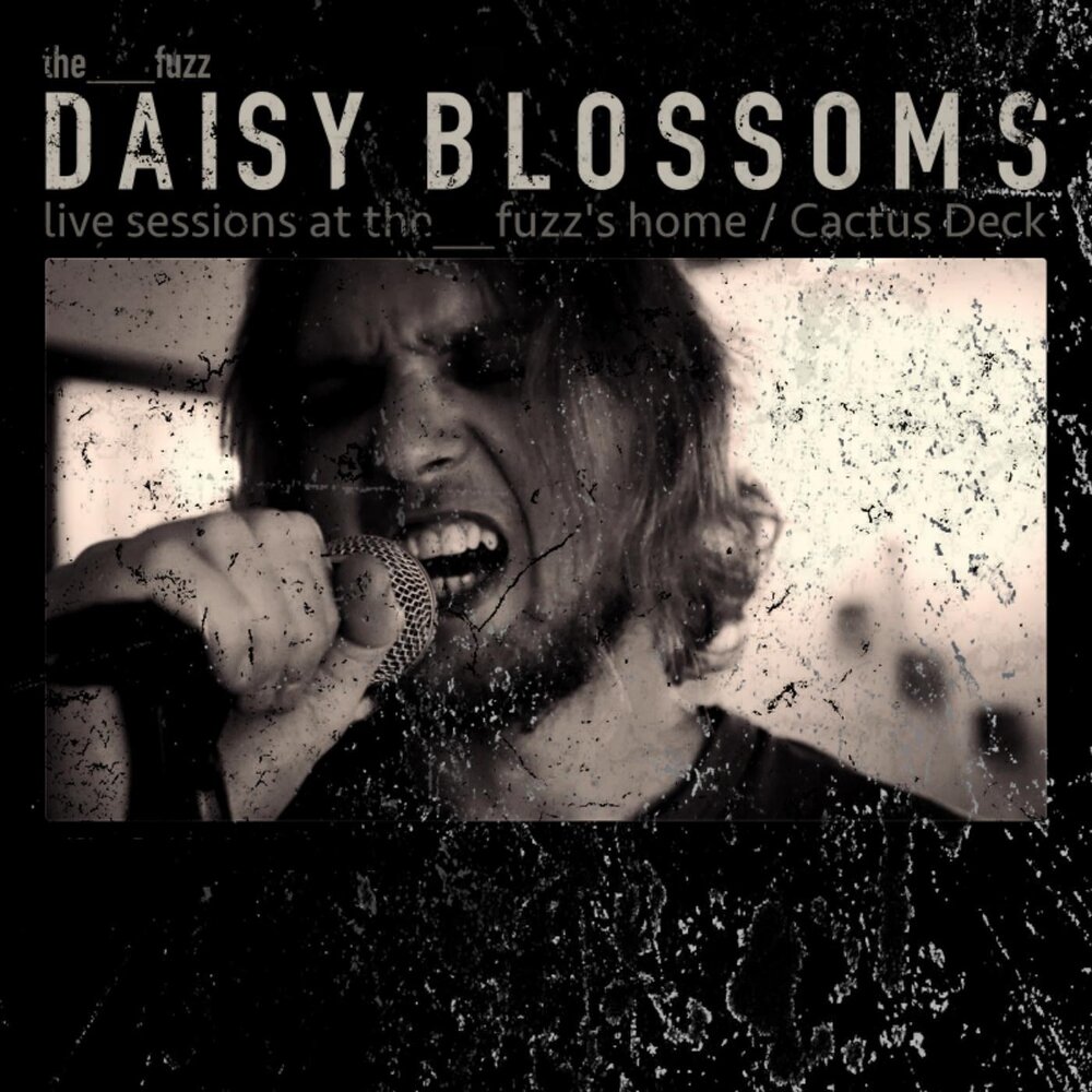 Daisyblooms. Fuzz.