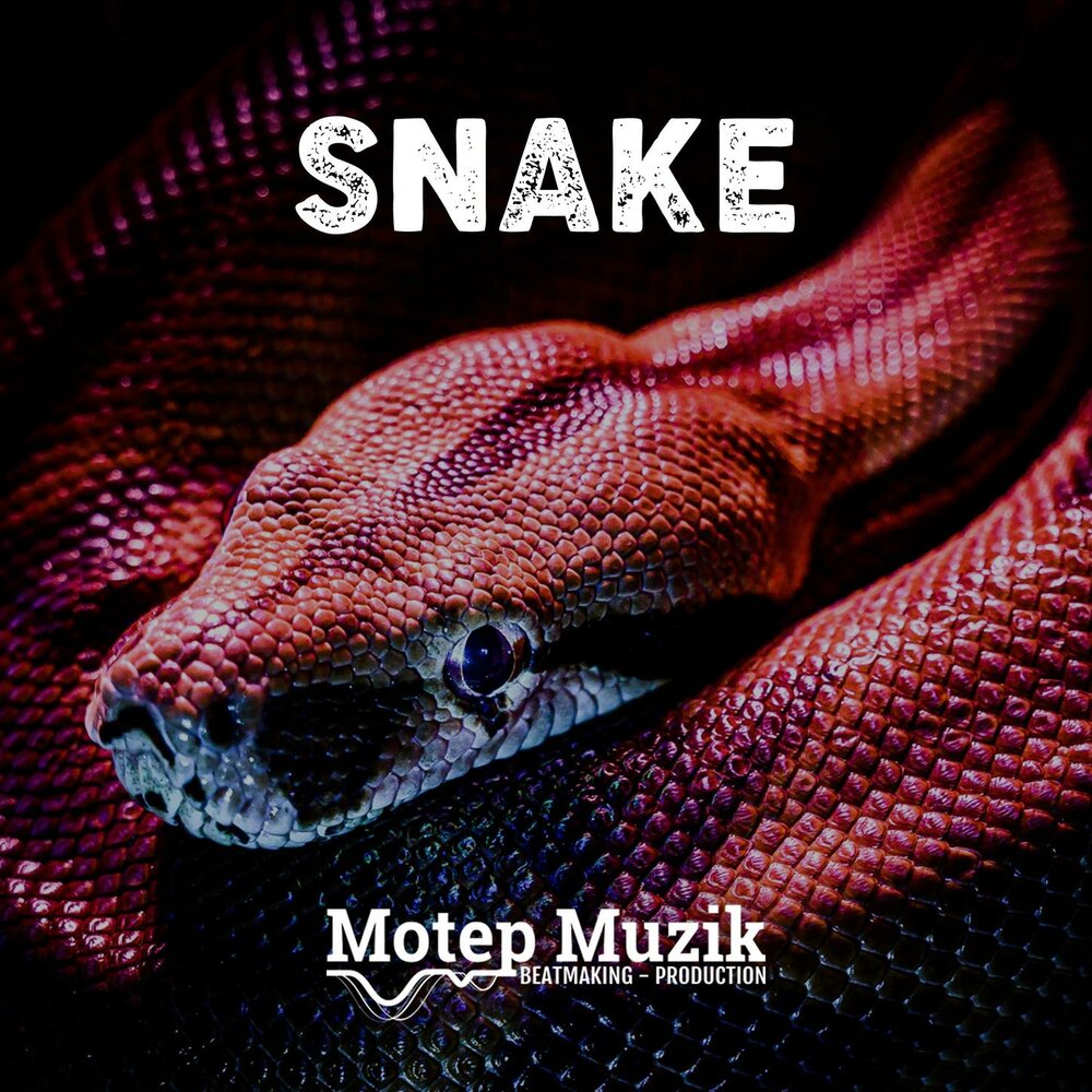 Snakes mp3. Змеи СЛУШАЮТ.