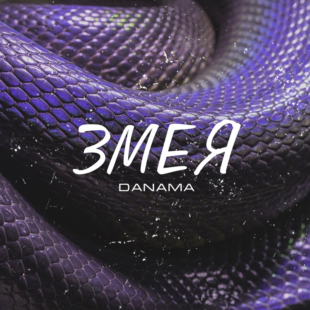 Песня змейка. Музыкальная змея. Snake трек. Змеи на обложках альбомов. Альбом со змеей.