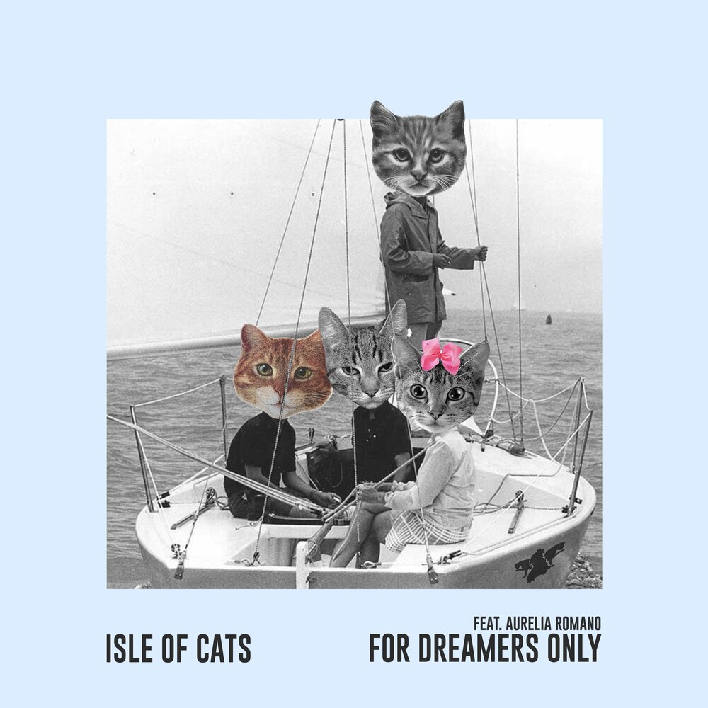 Дримерс для кошек. Чашка Мечтатели Cat-Dr. Out feat Cats. Песня человек и кошка слушать