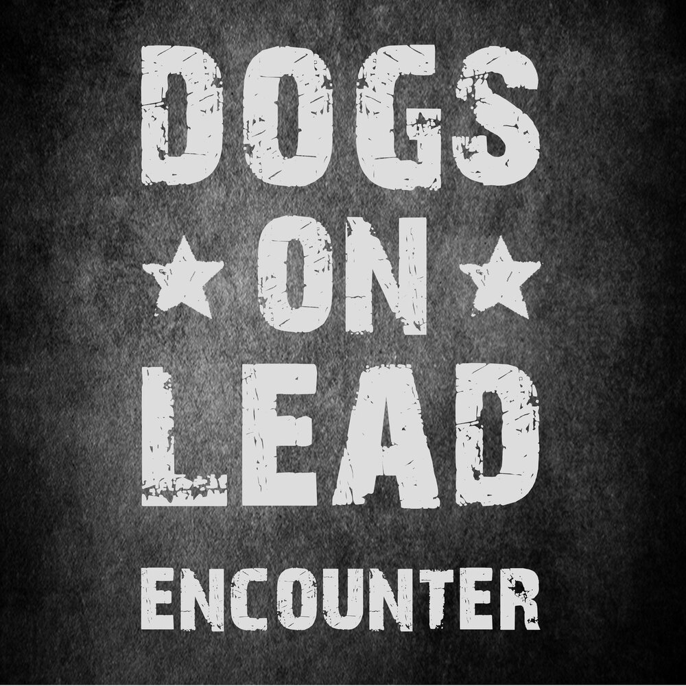 Lead дискография. Dog on the lead.