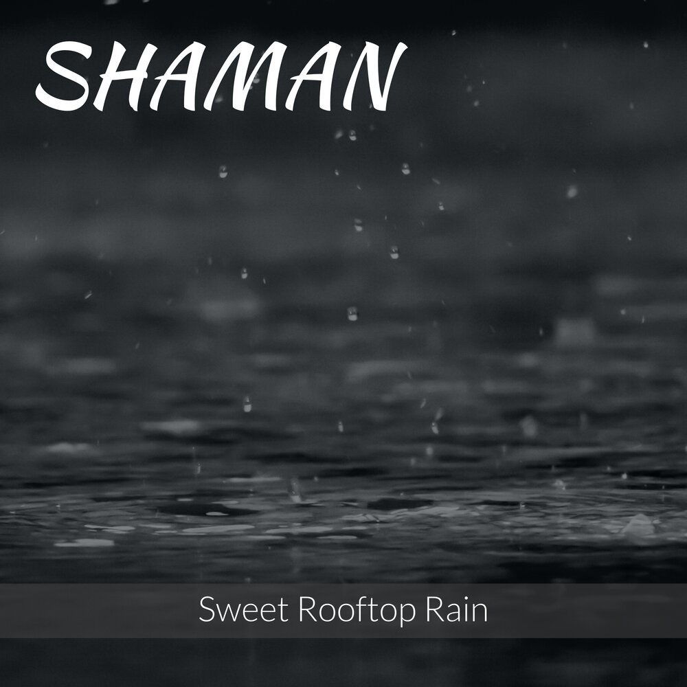 Дождь шаман песня. Мокрый дождь Shaman. Мокрый дождь Shaman обложка. Мокрый дождь шаман ремикс. Мокрый дождь шаман текст.