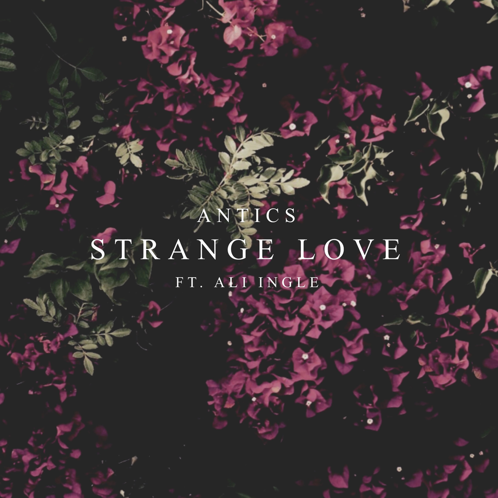 Песня stranger love. Love Strange Love.