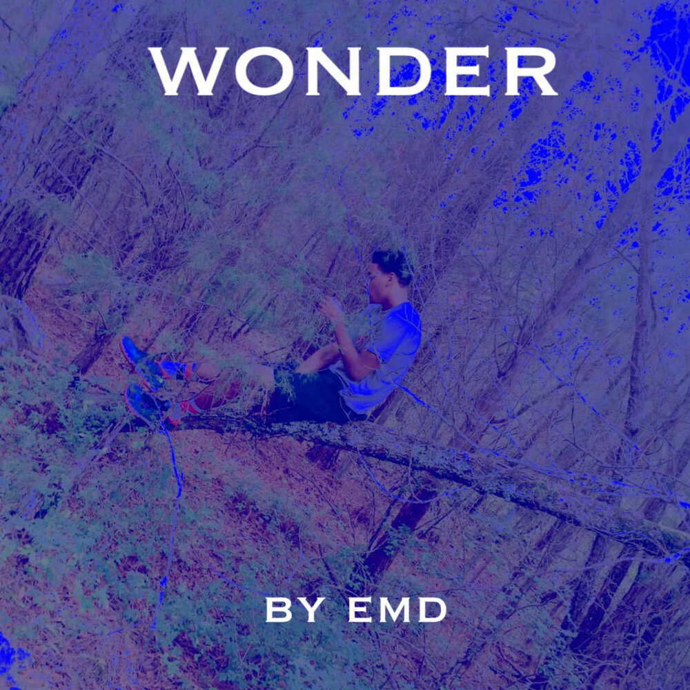 Wonder альбомы