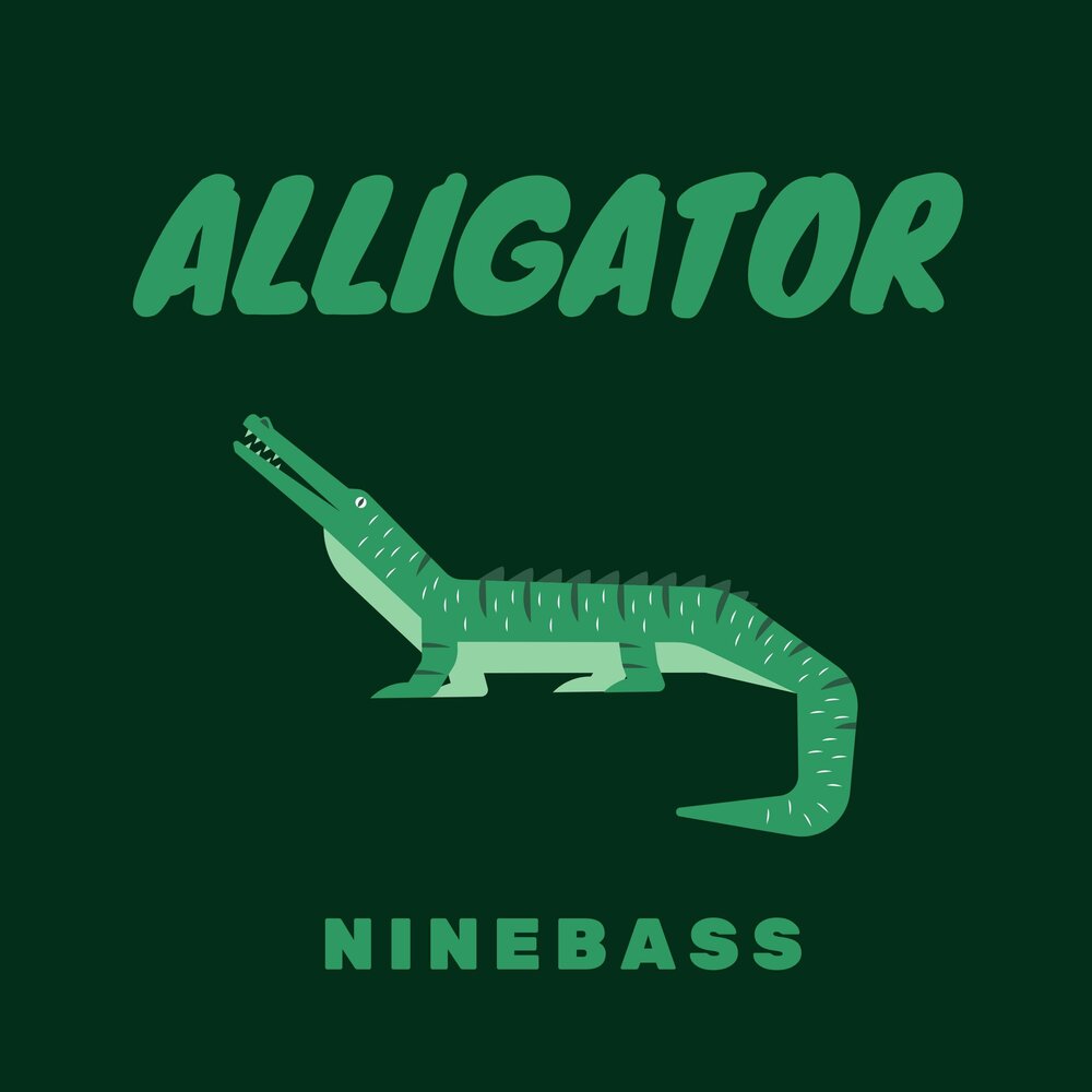 Треки аллигатора. Мьюзик Аллигатор. Аллигатор песни. Music Alligator отзывы. Music Alligator дистрибьютор.