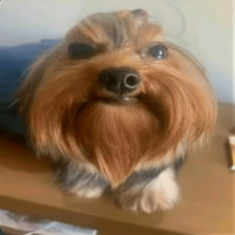 YandexMusic profile picture