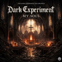 Dark Experiment