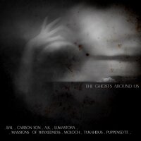 artist-cover