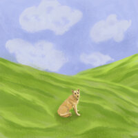 artist-cover