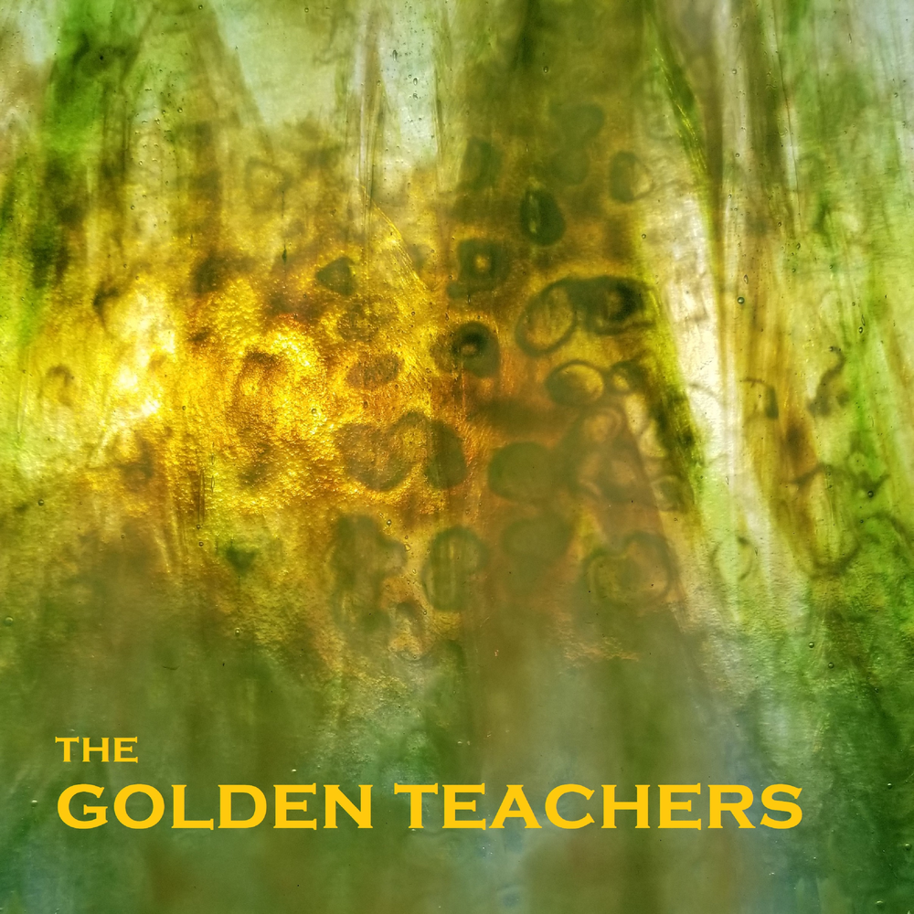 Gold teacher s. Сорт Golden teacher. Голден Тичер эффект. Golden teacher трава. Грибы Голден Тичер эффект.