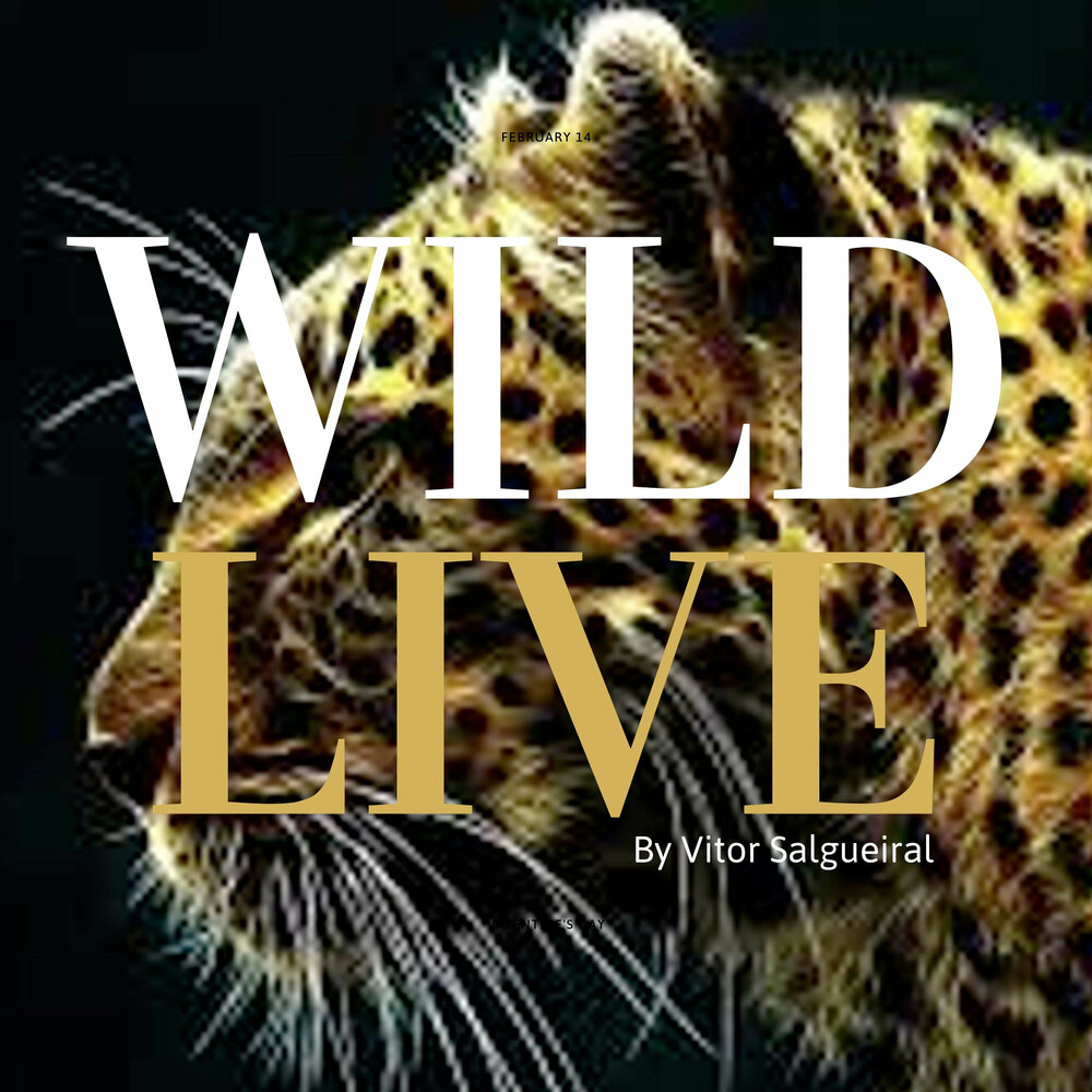 Дикий live. Wild Live.