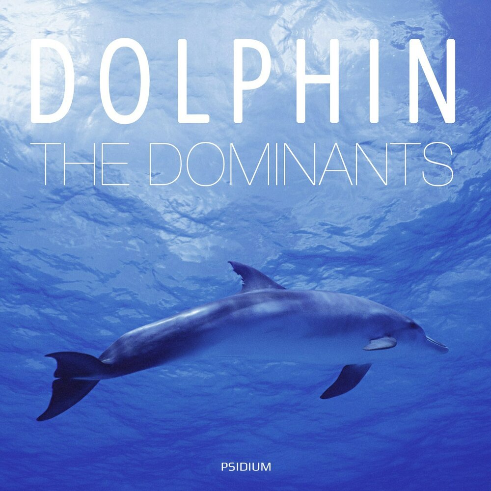 Люди дельфины песня. Альбом дельфина. Дельфин альбомы. Дельфин песни. Обложка песни Dolphin.