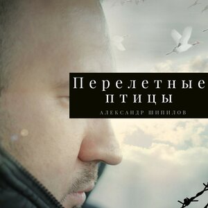Перелётные птицы