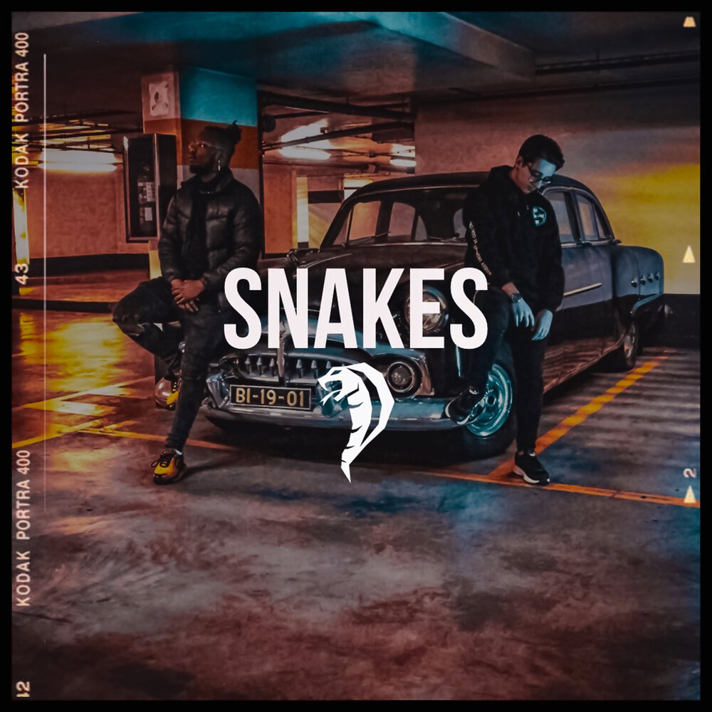 Snakes lyrics