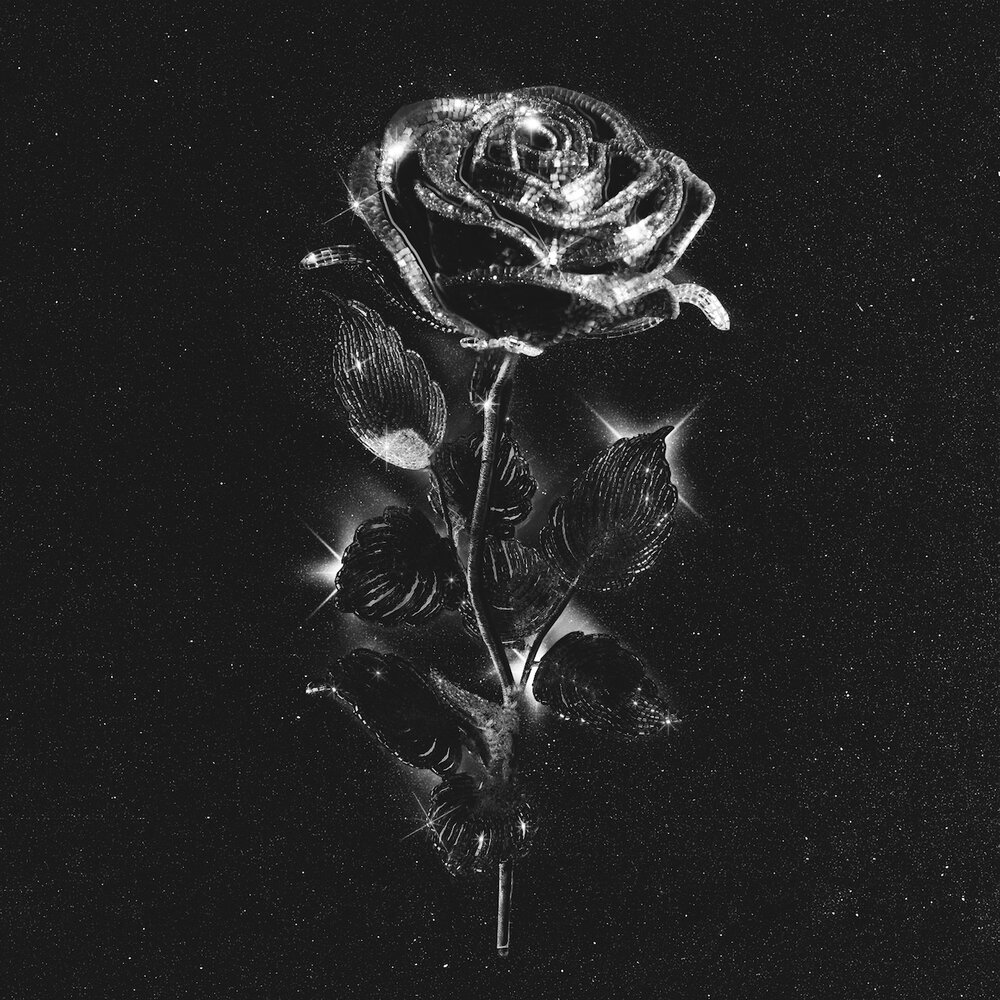 Чёрные розы Maryana ro
