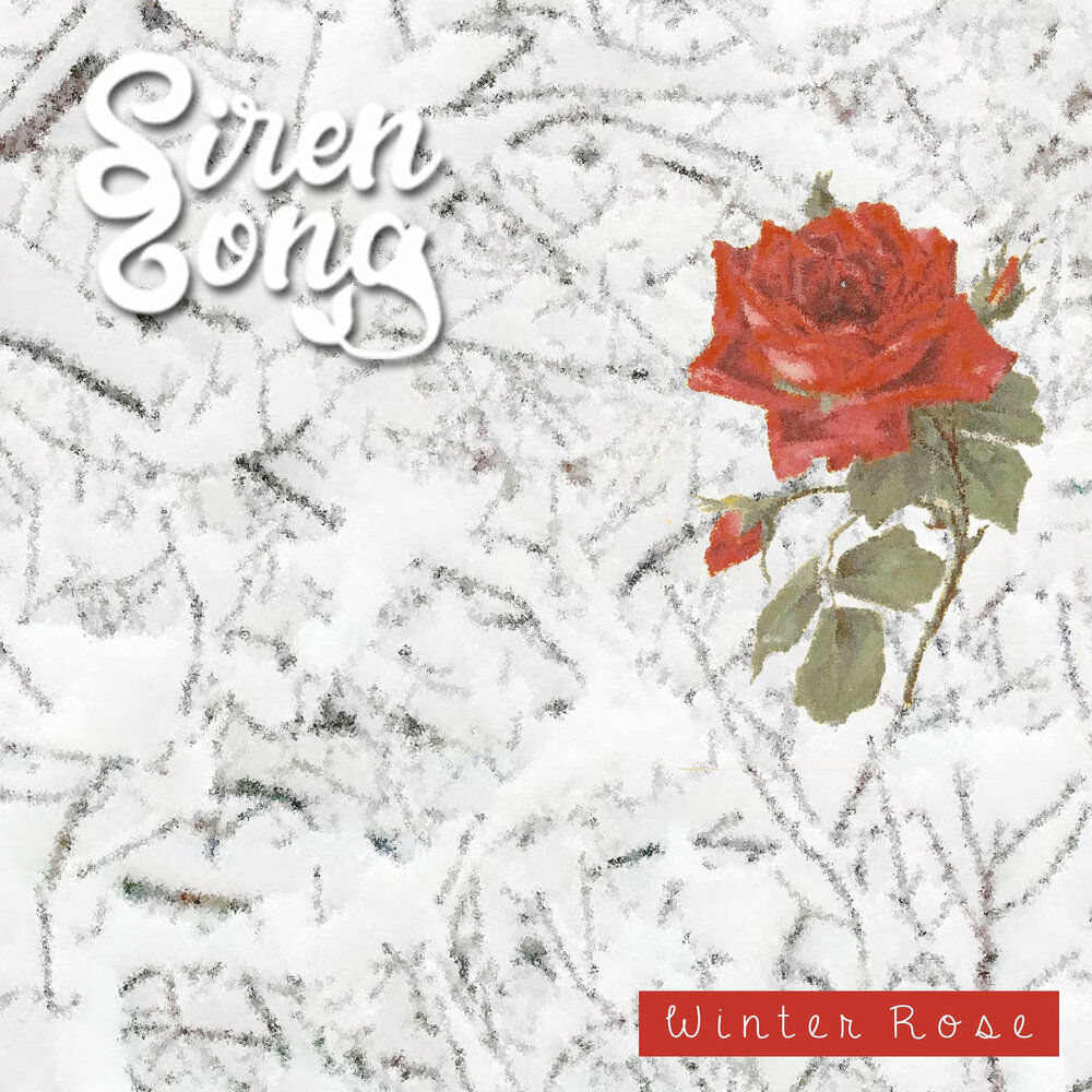 Замерзшая роза. Картины красная роза зимой. Чайная роза в холод. Алая роза на снегу картинки. Слушать песню зимние розы.