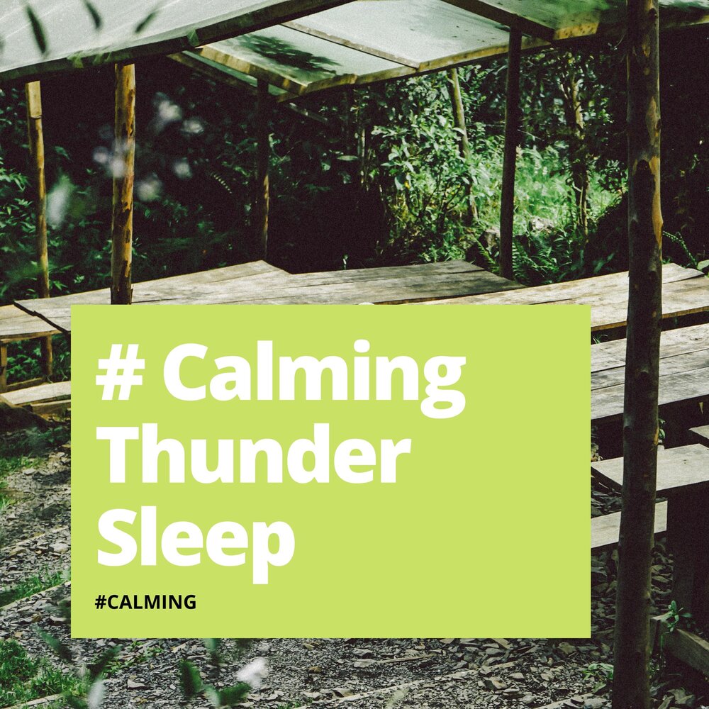 Conscience sleeps in thunder. Conscience sleeps in thunder