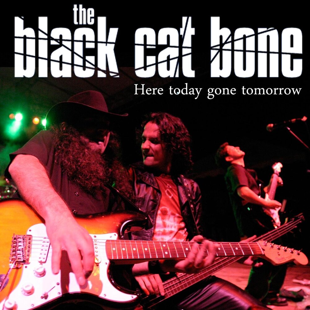 Black cat bone. Here today, gone tomorrow. Black Cat Bone - drinking' Alone (2008). Black Cat Bones - the long Drive. Lucky Peterson move 1997.