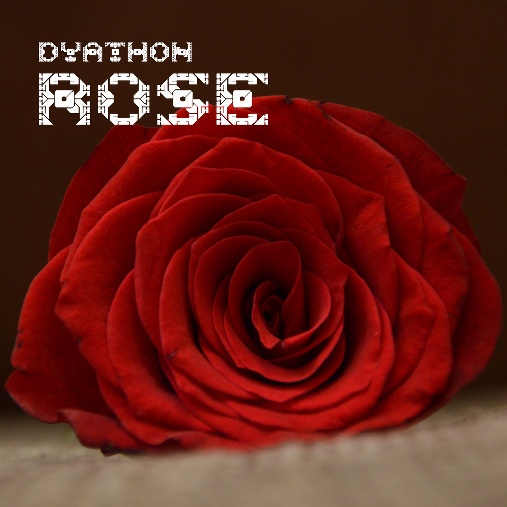 Rose альбом. Rose альбом. Альбом с розой на обложке. Rose слушать. Rose альбом.