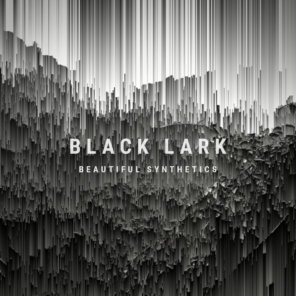 Process black. Black Lark. Black Silence.