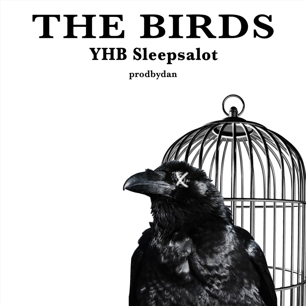 Listening birds. YHB.