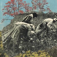 artist-cover