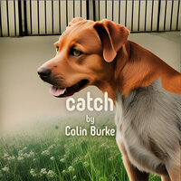 Colin Burke