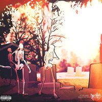 artist-cover