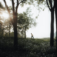 artist-cover