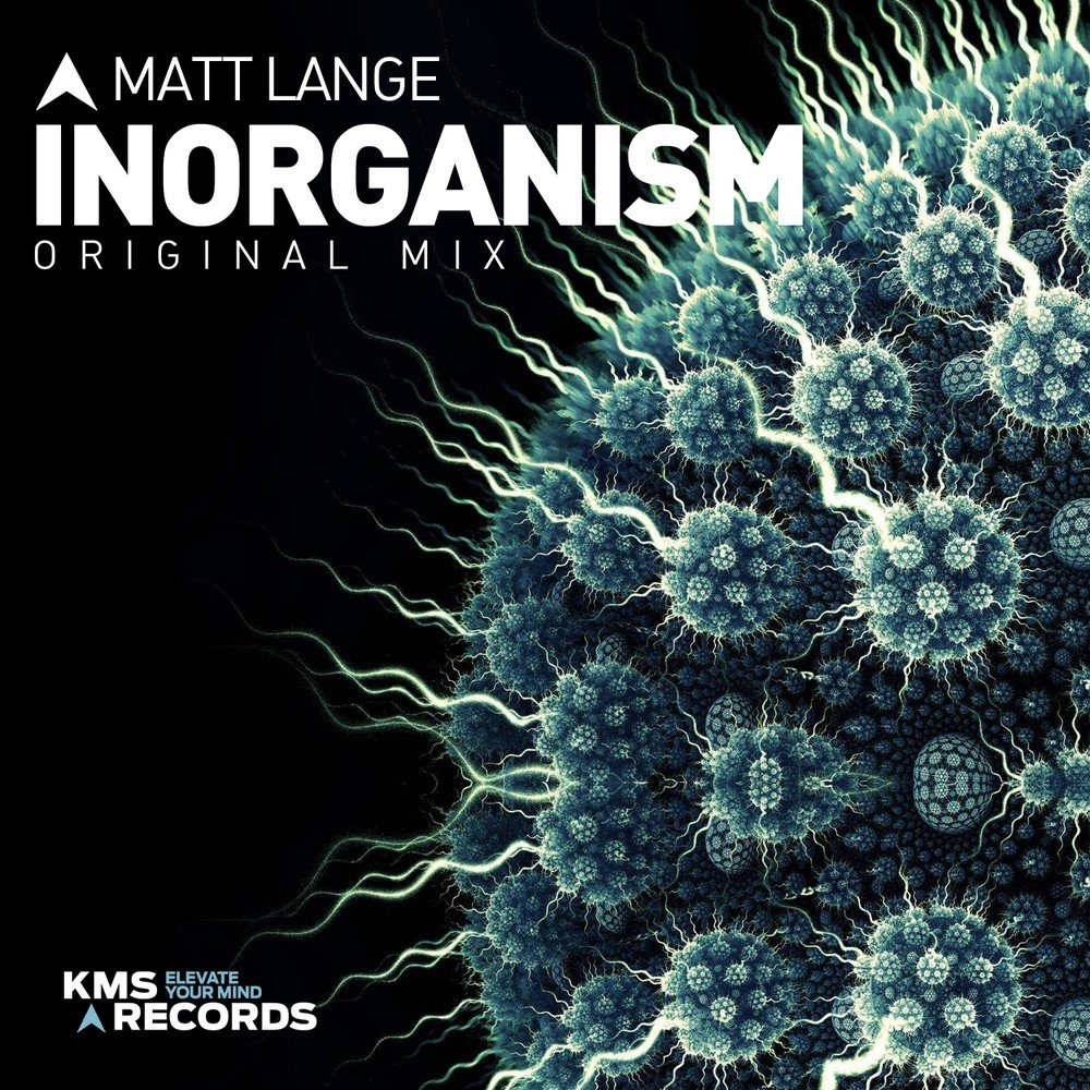 Matt lange. Elevate your Consciousness. Inorgani. Matt Lange Rift.