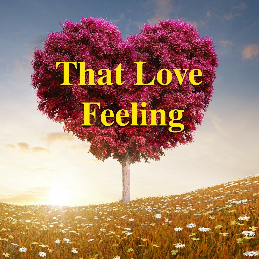 Feel will love. Love feelings. Lovely feeling. Feel Love.