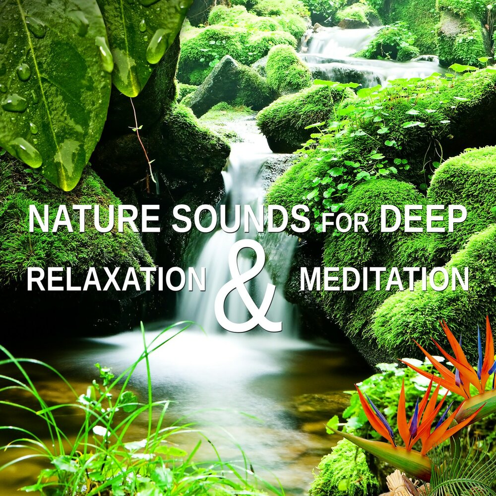 Nature sounds relaxing. Nature Sounds for Relaxation.