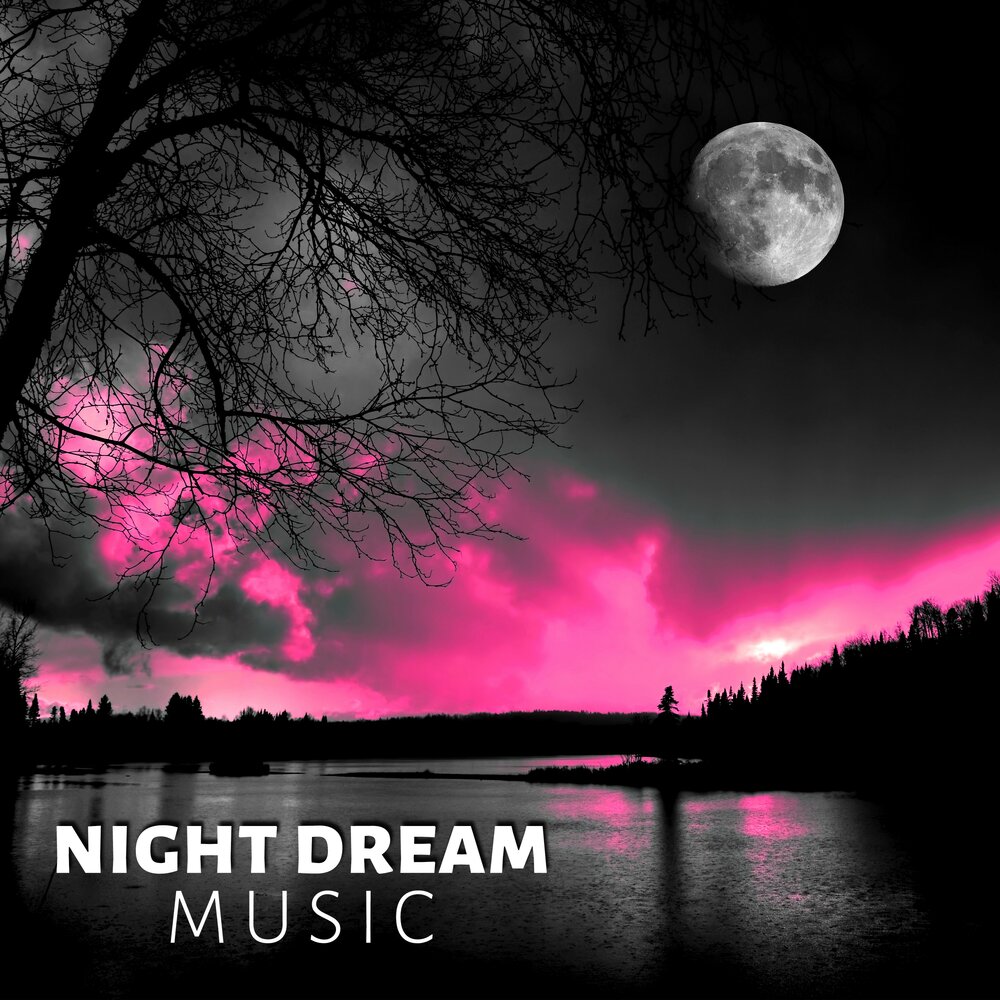 Night Dream. This night dream