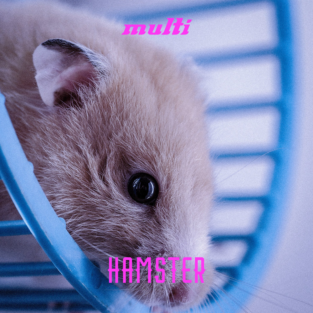 Хомячки музыка. Песни про хомяка. Как говорят хомяки слушать. Hamster Listening Music. @Hamster_199.