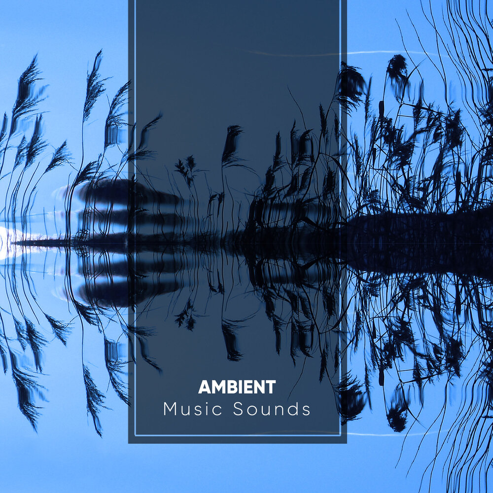 Ambient альбомы